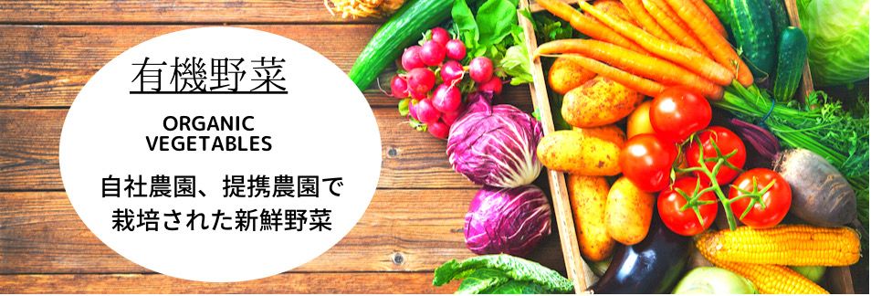 日本フィジカルコーディネーター協会(japc)オンラインストア、無農薬野菜、農業体験、無添加食品、施術、講義、イベント開催